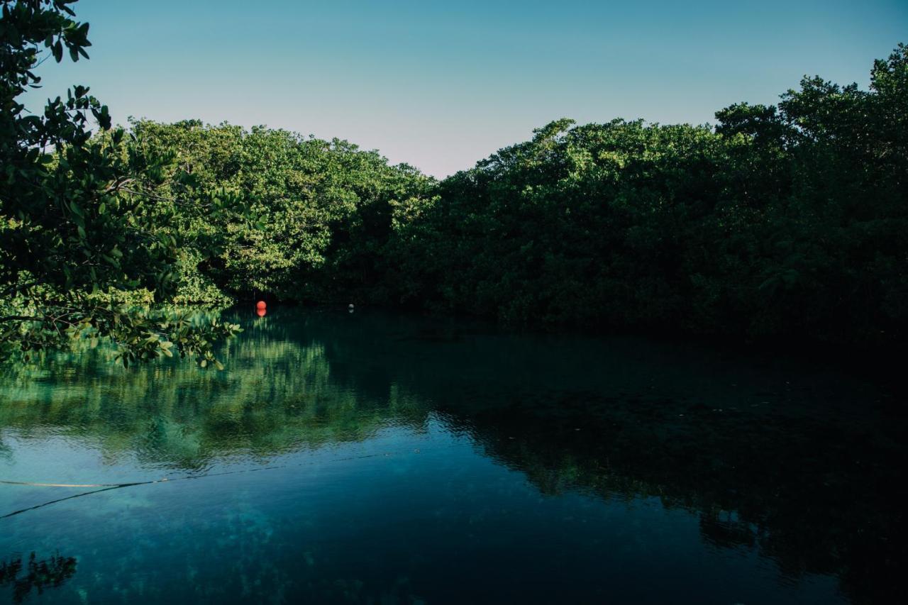 O' Tulum Boutique Hotel - Adults Only Ngoại thất bức ảnh